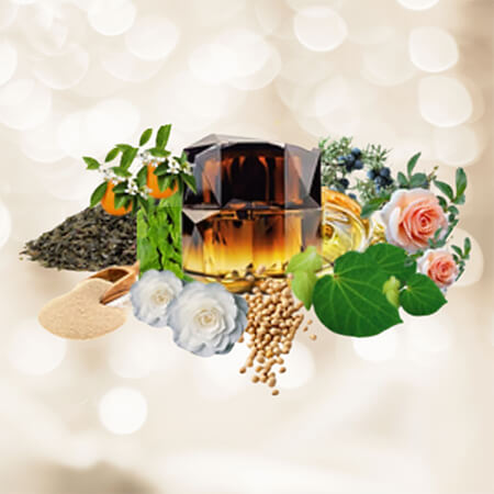 Ambrosia水漾瑰珀晶鑽霜 - 4-1 Ambrosia水漾瑰珀晶鑽霜 - 4-1